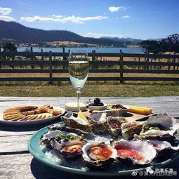 2024年新澳全年资料大全|探索古镇风情与美食之旅_奢华集.7.246